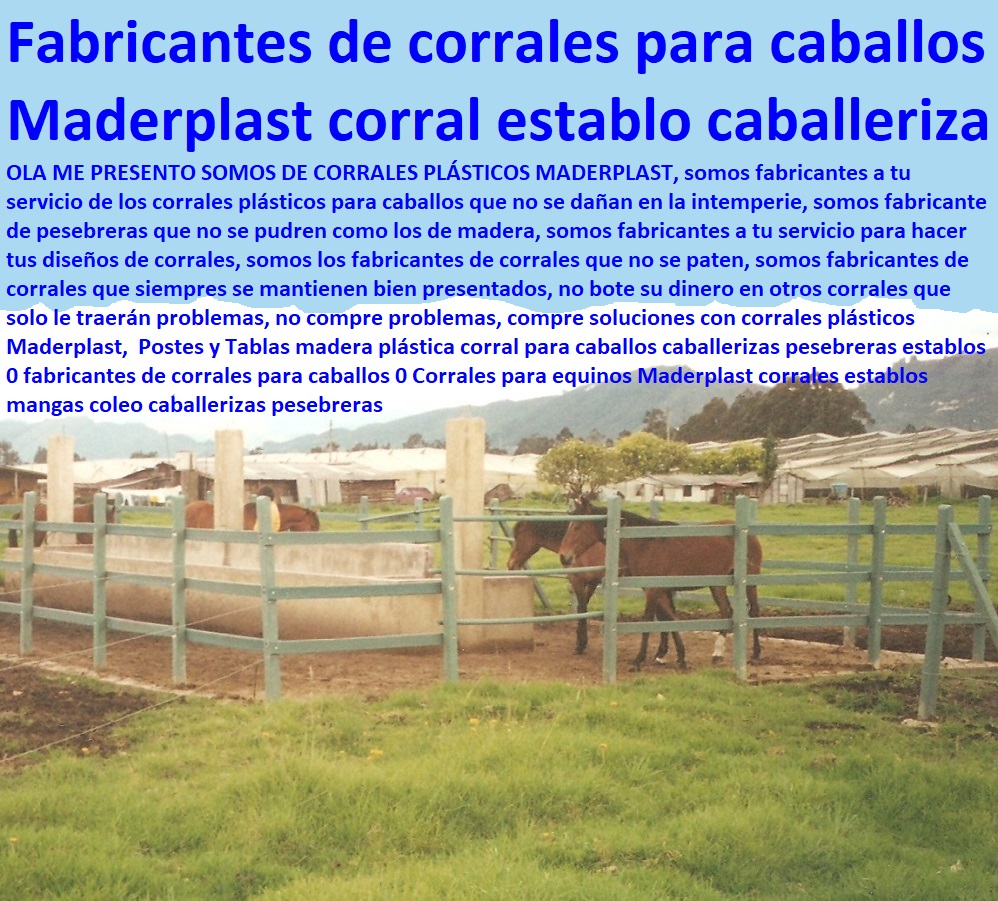 Postes y Tablas madera plástica corral para caballos caballerizas pesebreras establos 0 fabricantes de corrales para caballos 0 Corrales para equinos Maderplast corrales establos mangas coleo caballerizas pesebreras Postes y Tablas madera plástica corral para caballos caballerizas pesebreras establos 0 fabricantes de corrales para caballos 0 Corrales para equinos Maderplast corrales establos mangas coleo caballerizas pesebreras Postes y Tablas madera plástica corral para caballos caballerizas pesebreras establos 0 fabricantes de corrales para caballos 0 Corrales para equinos Maderplast corrales establos mangas coleo caballerizas pesebreras